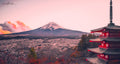 Fuji