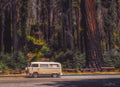 Retro Van in Redwood Forest
