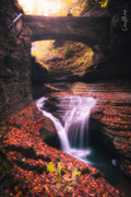 Watkins Glen